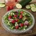 Mistana Darrion 9" Melamine Salad Plate MITN1202